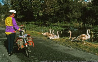 Newry Canal near Scarva ©Robert Ashby Newry Canal near Scarva