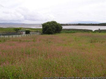 Near Muff ©Kenneth Allen Near Muff